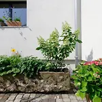 Gute Lage, 3 Raeder, Gruen, Familien