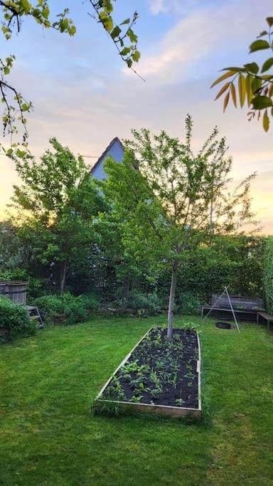 Apartment Gute Lage, 3 Raeder, Gruen, Familien