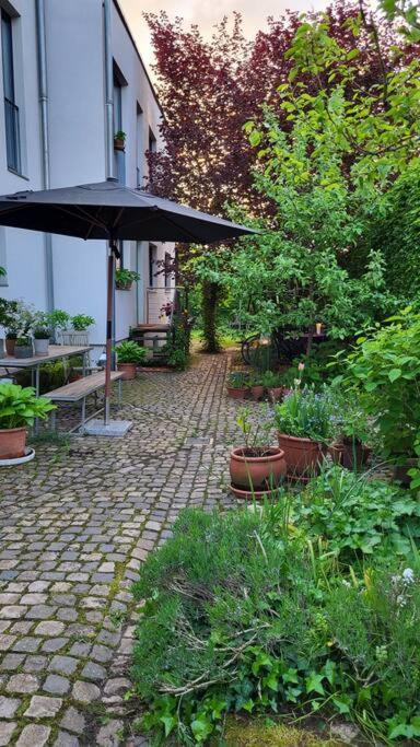 Apartment Gute Lage, 3 Raeder, Gruen, Familien Trier