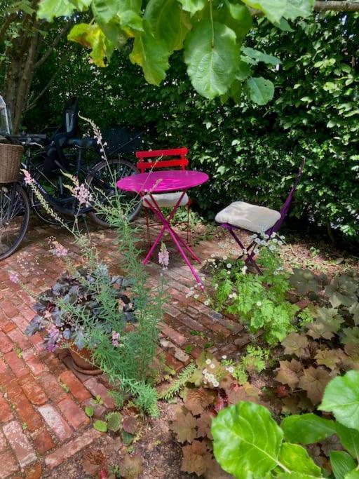 Gute Lage, 3 Raeder, Gruen, Familien Apartment *