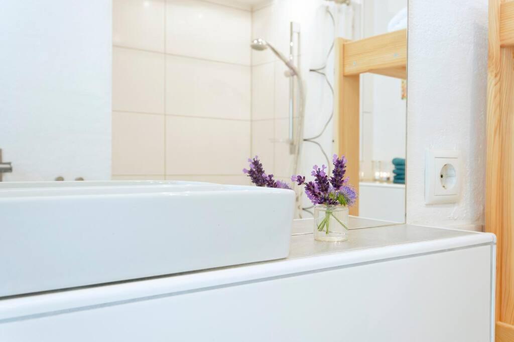 Gute Lage, 3 Raeder, Gruen, Familien Apartment Trier