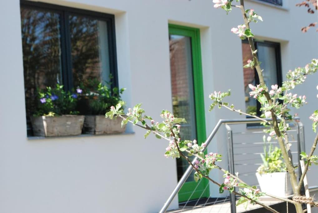 Apartment Gute Lage, 3 Raeder, Gruen, Familien Trier