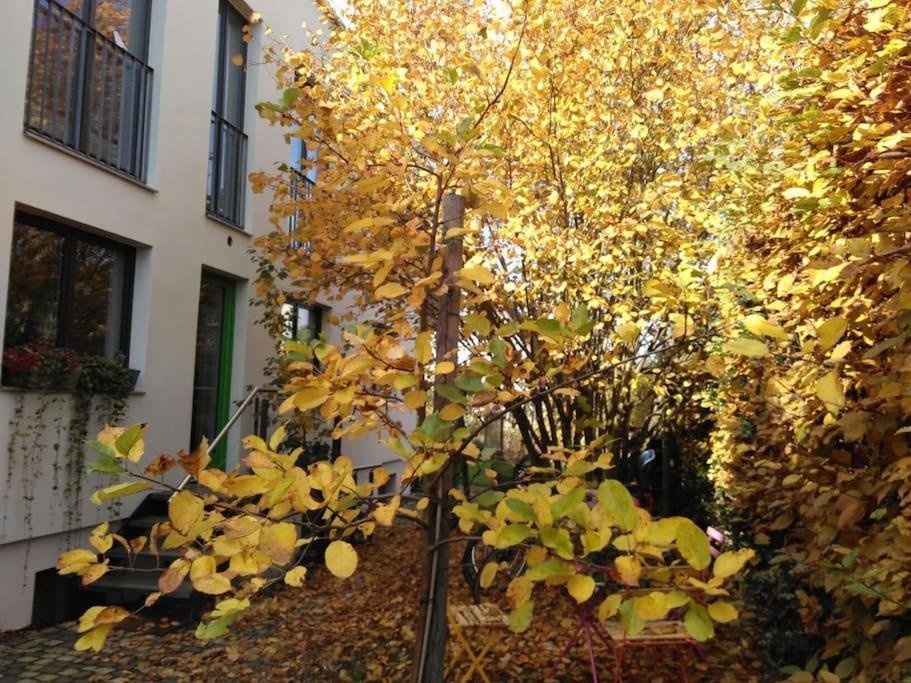 Gute Lage, 3 Raeder, Gruen, Familien Apartment